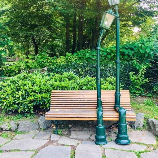 Panchina del giardino roccioso con lampioni abbracciati