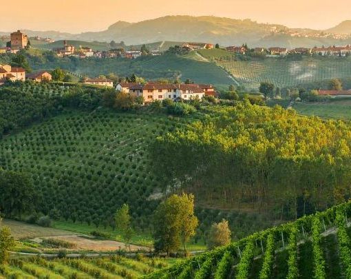 Il Piemonte spicca tra le regioni del mondo secondo Lonely Planet