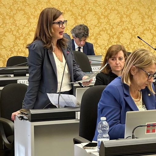 Baby parking, Pompeo-Pentenero (Pd): &quot;Attuare subito la legge e i criteri per erogare i contributi&quot;