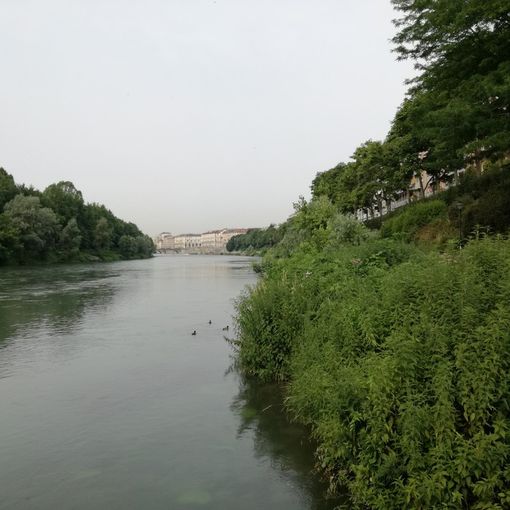 Torino Greenprint, i dati sul verde ricreativo in città
