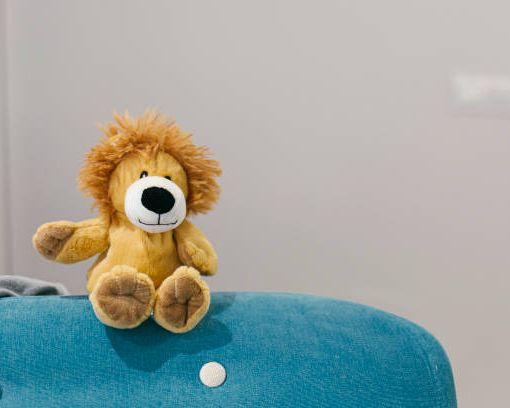 leone di peluche