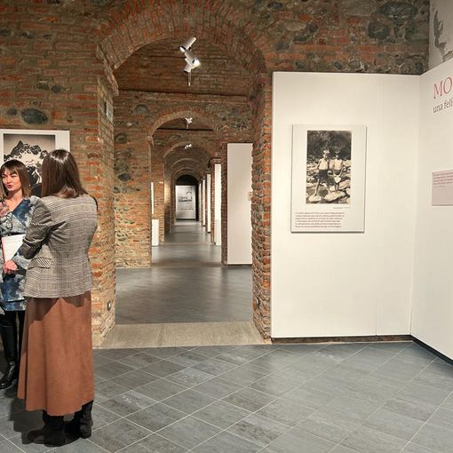 Amicizia, natura, famiglia, riflessione: la montagna secondo Primo Levi