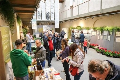 Sanremo- Forza della Natura: oltre 10.000 presenze per la manifestazione dedicata a Libereso
