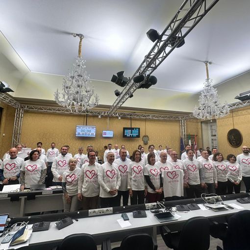 life is pink consiglio regionale