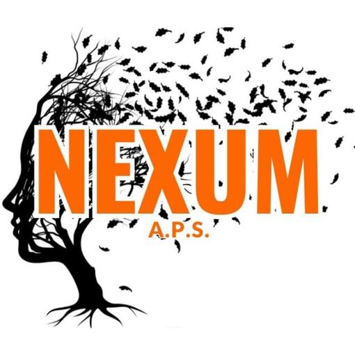 Nexum, logo ufficiale dell'A.P.S. e progetto grafico di Appino Martina