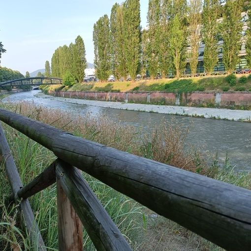 lungo dora Firenze