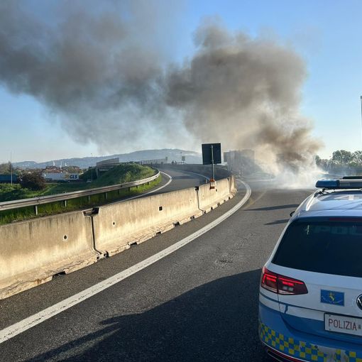 fiamme