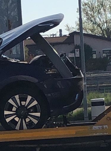 Sulla Torino-Savona capriolo di 80 chili attraversa la carreggiata e manda fuori strada una vettura