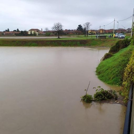 Maltempo, Coldiretti Piemonte: &quot;Fine settimana disastroso, terreni allagati e vigneti distrutti&quot;