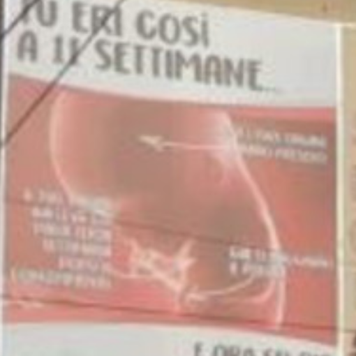 Legge 194, Liberi e Uguali: &quot;Indietro non si torna. Il Comune di Chivasso rimuova i manifesti antiaborto&quot;