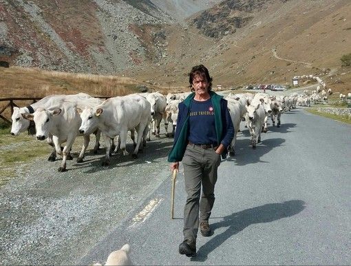 Allasia: &quot;La transumanza occasione per rilanciare la montagna piemontese&quot;