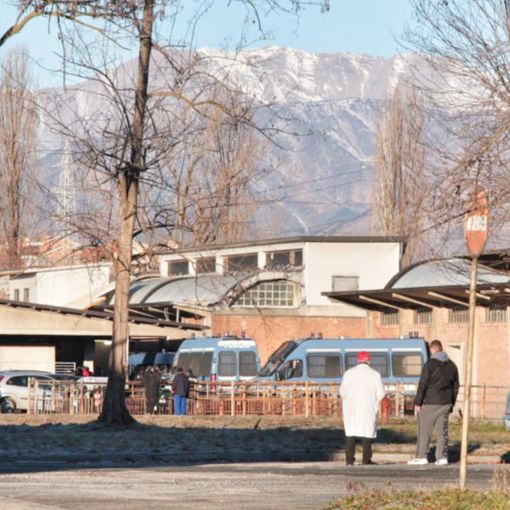 ex macello