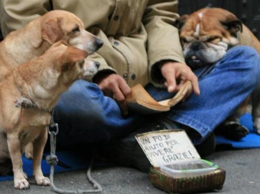 Emergenza freddo, a Torino i rifugi comunali accolgono i clochard e i loro cani