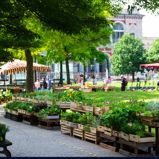 I Giardini Sambuy domenica tornano a essere &quot;Spazio pubblico dal vivo&quot;
