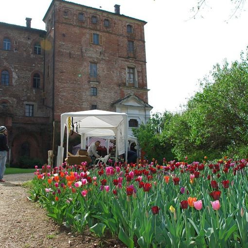 Messer Tulipano, tutti gli appuntamenti di questo weekend