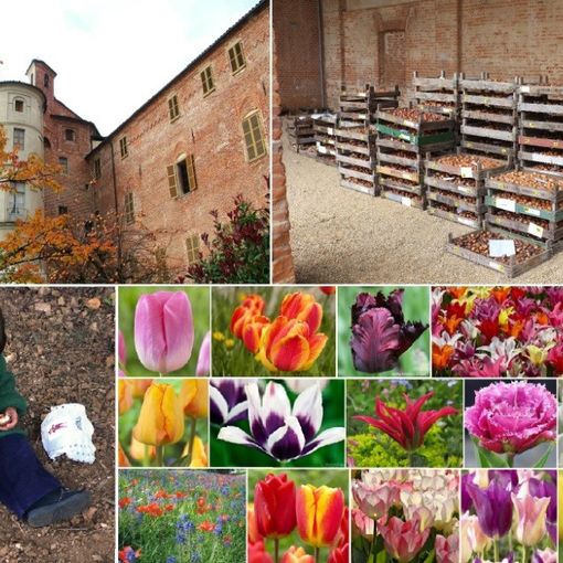 Con Messer Tulipano il parco del Castello di Pralormo si tinge di rosa