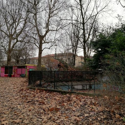 Iniziati i lavori di recupero del Michelotti: viaggio nel parco che riapre