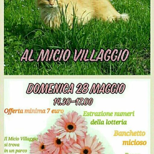 Amici degli animali: arriva la Merenda di Primavera al Micio Villaggio