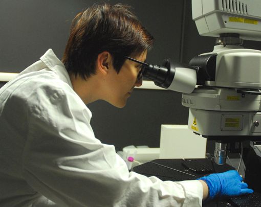 Ringiovanire il cervello? La chiave potrebbero essere i neuroni &quot;immaturi&quot;