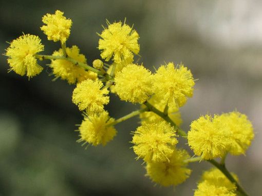 Festa delle donne. Rosina (Assistenti sociali piemontesi): &quot;Stiamo facendo passi indietro&quot;