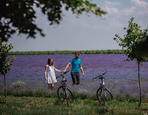 'Vieni a visitarci di nuovo'! La Repubblica di Moldova apre al turismo