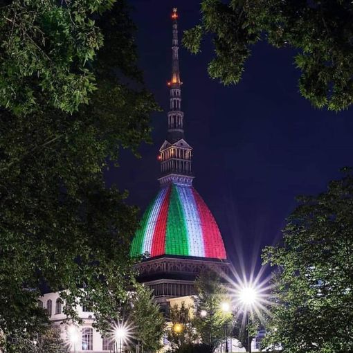 mole tricolore