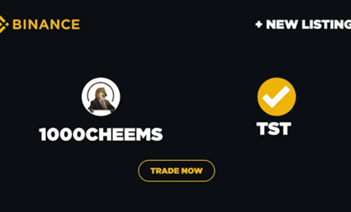 Quali sono le migliori meme coin da acquistare su Binance Smart Chain oggi. Test e Cheems?