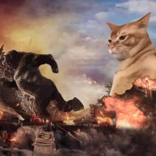 Come comprare la nuova meme coin Catslap