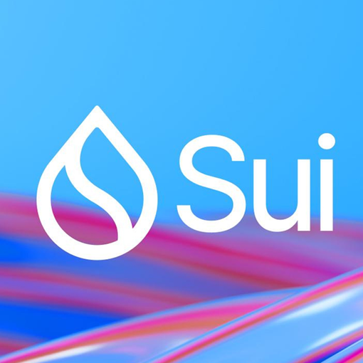 Sui diventa il miglior asset digitale del 2024