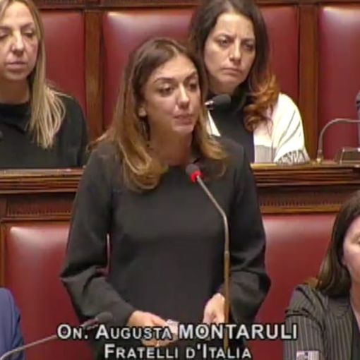Montaruli (FdI) porta il caso Askatasuna alla Camera