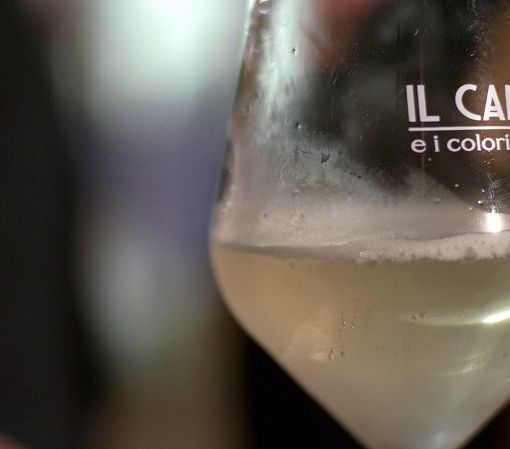 Ha preso il via l’iter che nel 2022 dovrebbe portare alla vendemmia ufficiale di Moscato bianco “Canelli”