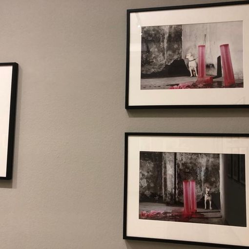 mostra camera