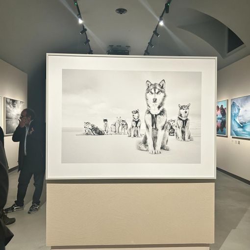 Da National Geographic alle Gallerie d’Italia: Cristina Mittermeier racconta la tutela ambientale
