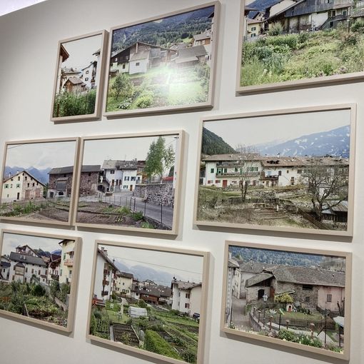 immagini mostra Niedermayr a Camera