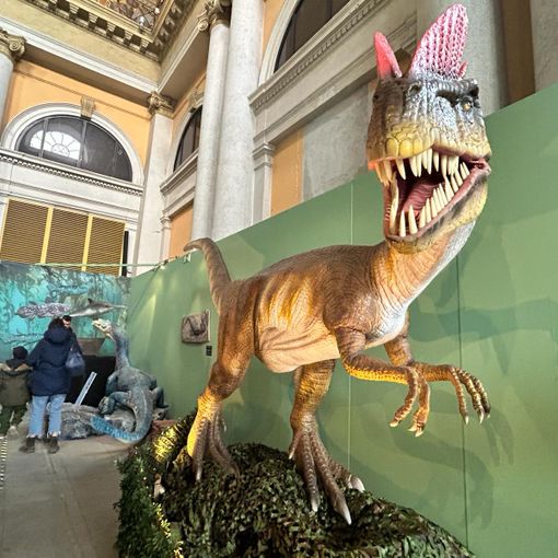 Dal Tirannosauro allo Spinosauro: a Porta Nuova sono tornati i Dinosauri