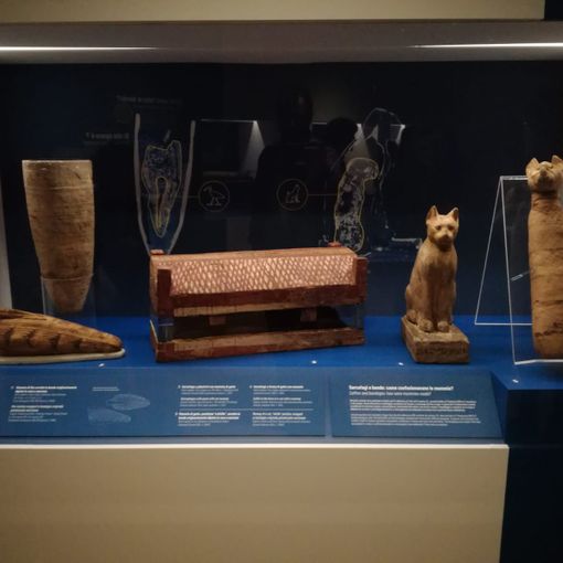 L'innovazione invade anche l'antico Egitto e lo racconta sotto una luce tutta nuova: ecco l'Archeologia invisibile (FOTO e VIDEO)