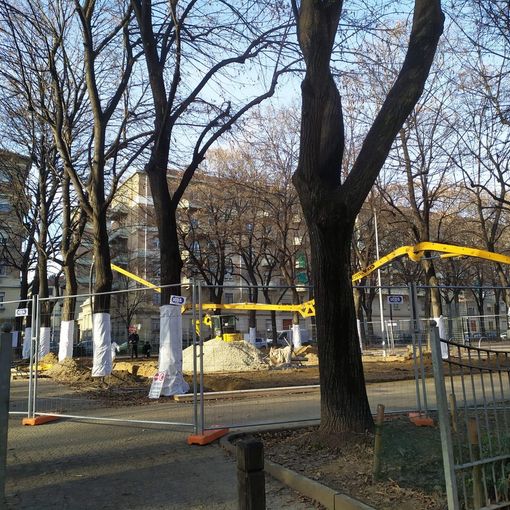 Aurora “sogna”: iniziati i lavori per il campo da pallavolo pubblico ai Giardini Alimonda