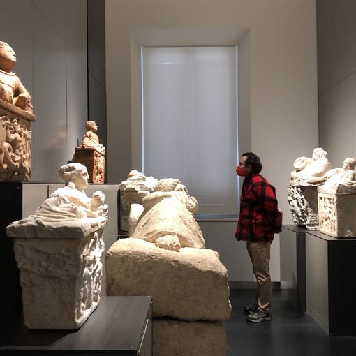 Aperta la Galleria Archeologica dei Musei Reali: oltre mille reperti, dall'arte greca a quella romana (VIDEO)