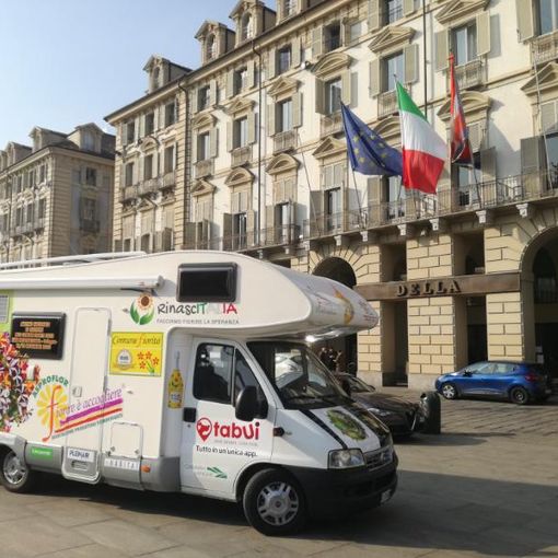 camper asproflor