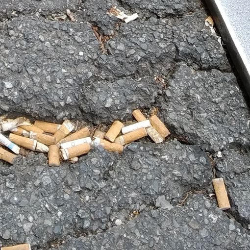 Domenica a Torino raccolta di mozziconi con Fridays For Future