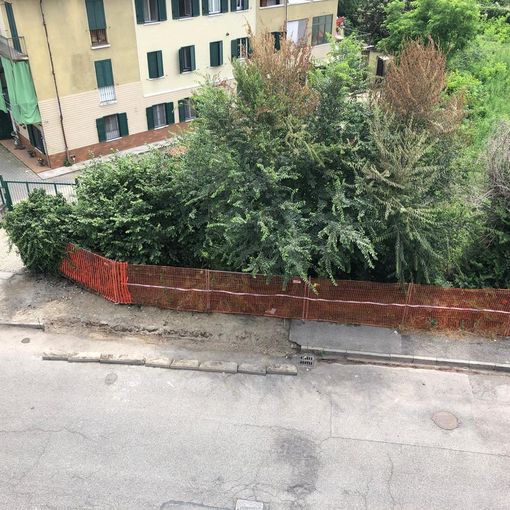 Quel muretto della discordia in via Viterbo, interessata dai lavori: “Così il marciapiede resta in condizioni inadeguate&quot;