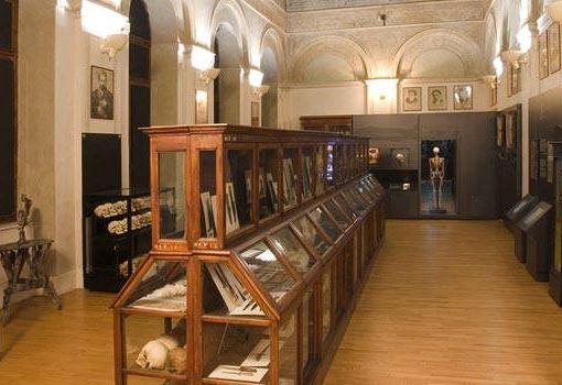 Museo Lombroso, non si placa la polemica. Il senatore De Bonis: &quot;Verrò presto a Torino a visitarlo&quot;