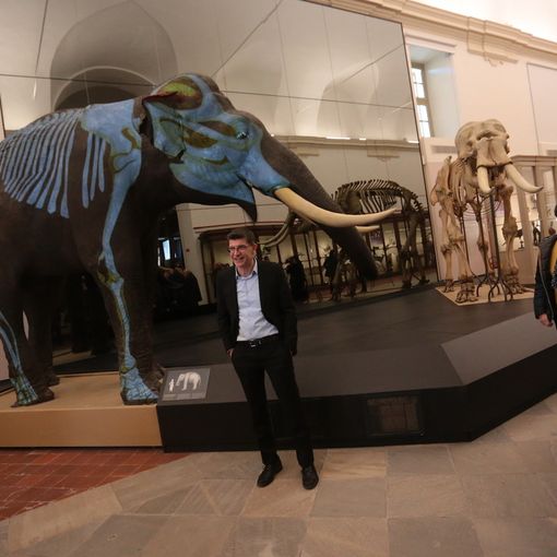 Riapre il Museo di Scienze Naturali: &quot;Torino lo ama&quot;. E fino al 2 febbraio si entra gratis [VIDEO]