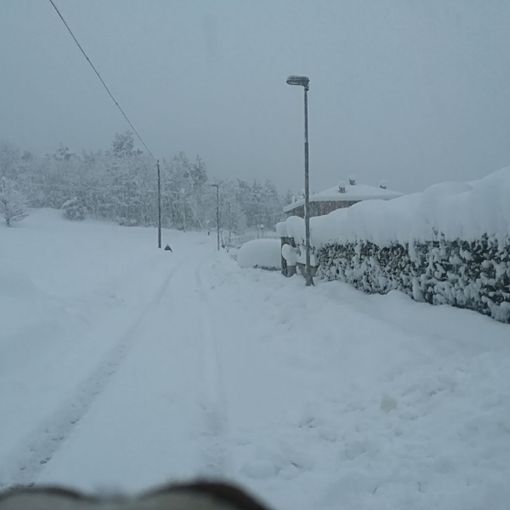 Torino imbiancata, montagne pronte per la stagione sciistica: la neve è arrivata nella notte