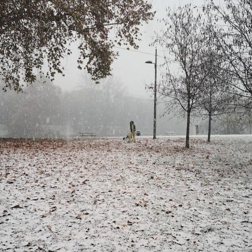 Meteo, dopo la neve su Torino e provincia arriva subito un miglioramento