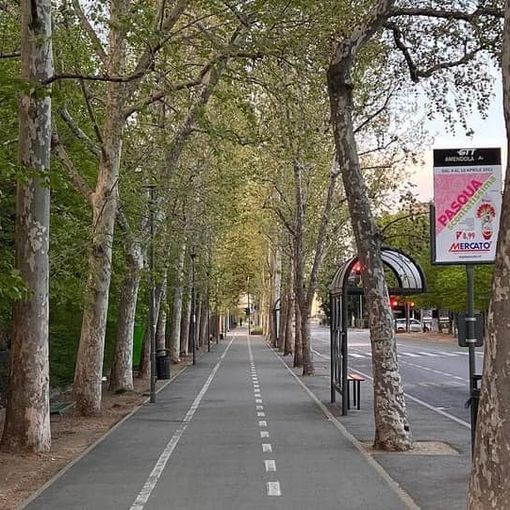 viale nichelino ripulito dai rifiuti