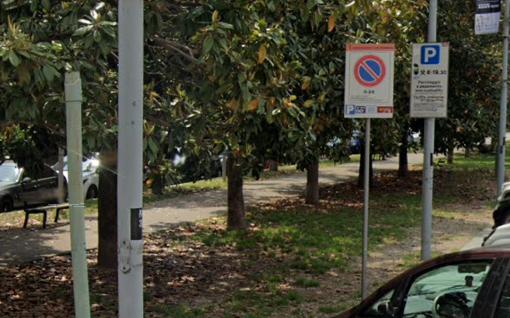 viale alberato Nizza Millefonti