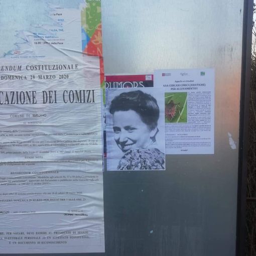 Bruino, manifesti con il volto di Norma Cossetto affissi per il centro