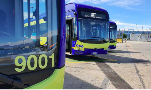 bus
