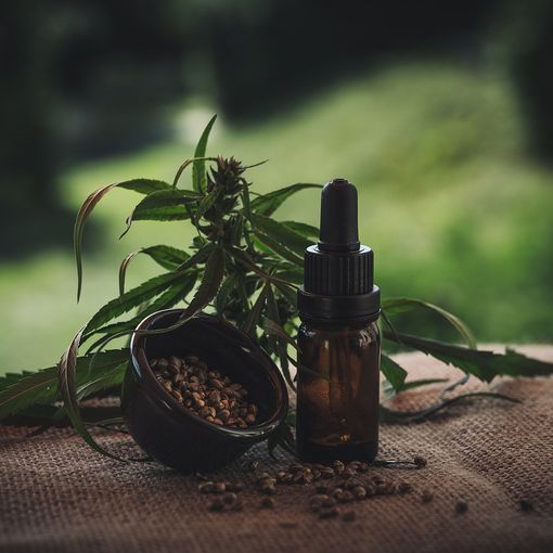 Olio di CBD: come sceglierlo ed utilizzarlo per trarne beneficio